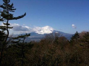mt.fuji