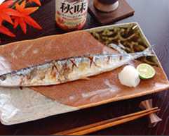 秋刀魚 秋刀魚
