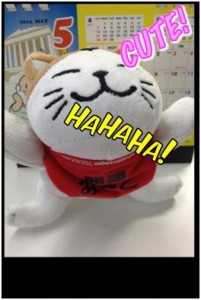 みーこ